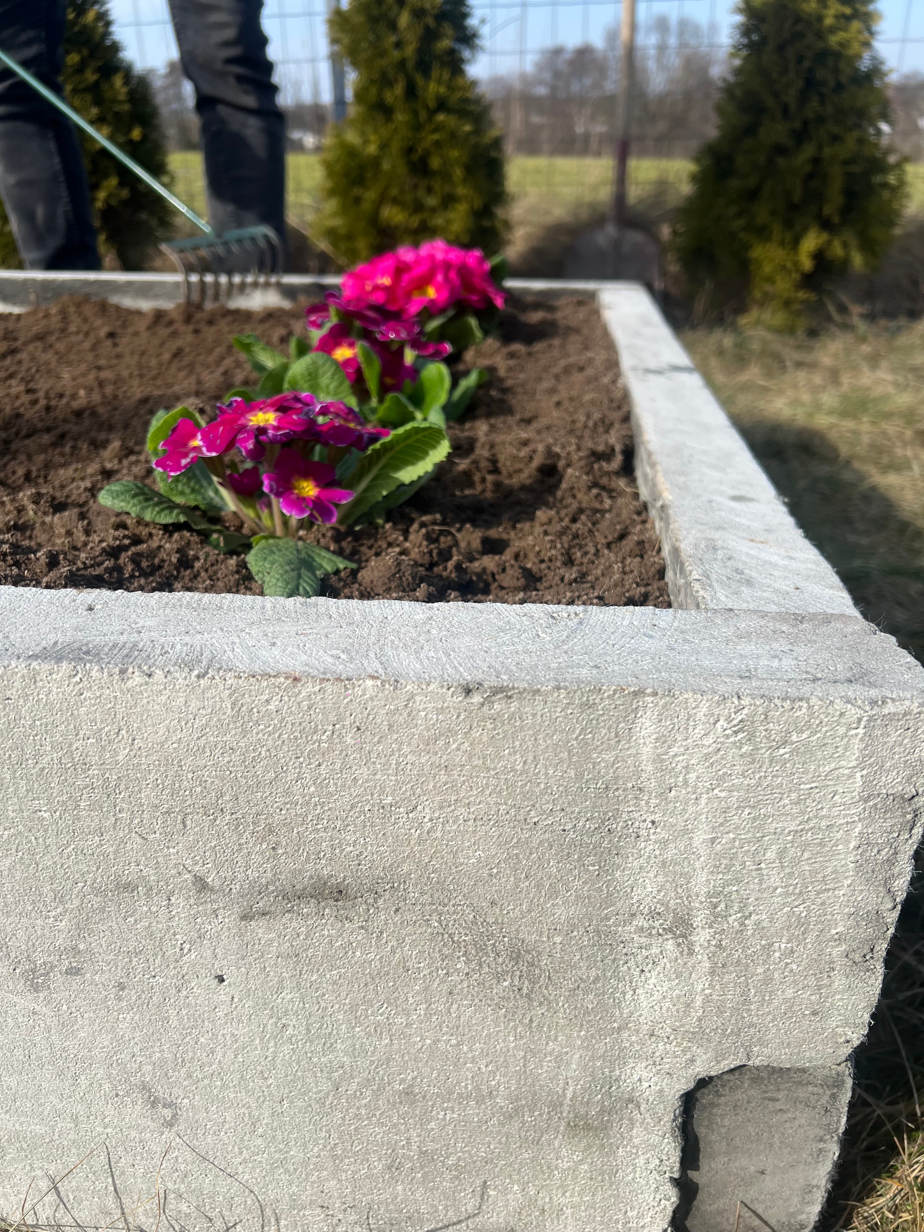 Warzywnik ogrodowy 5