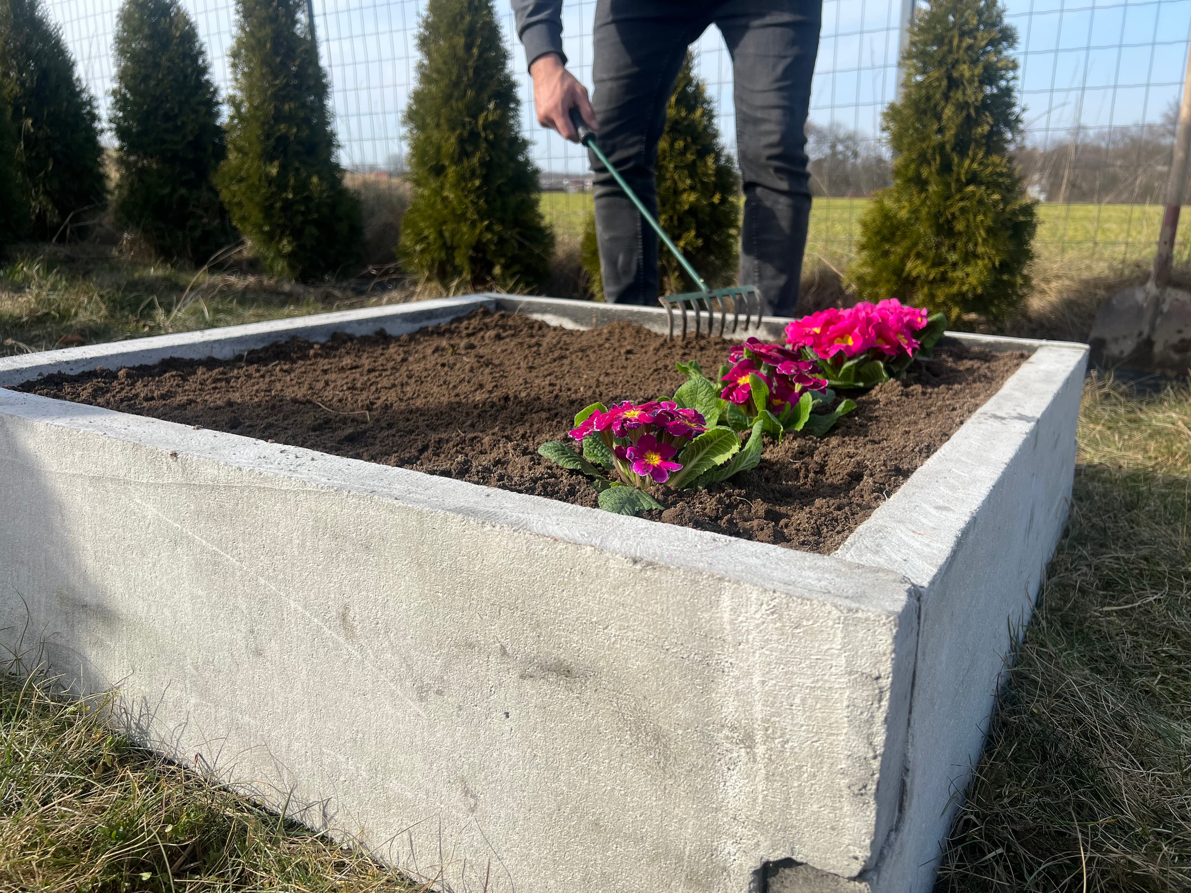 Warzywnik ogrodowy 6