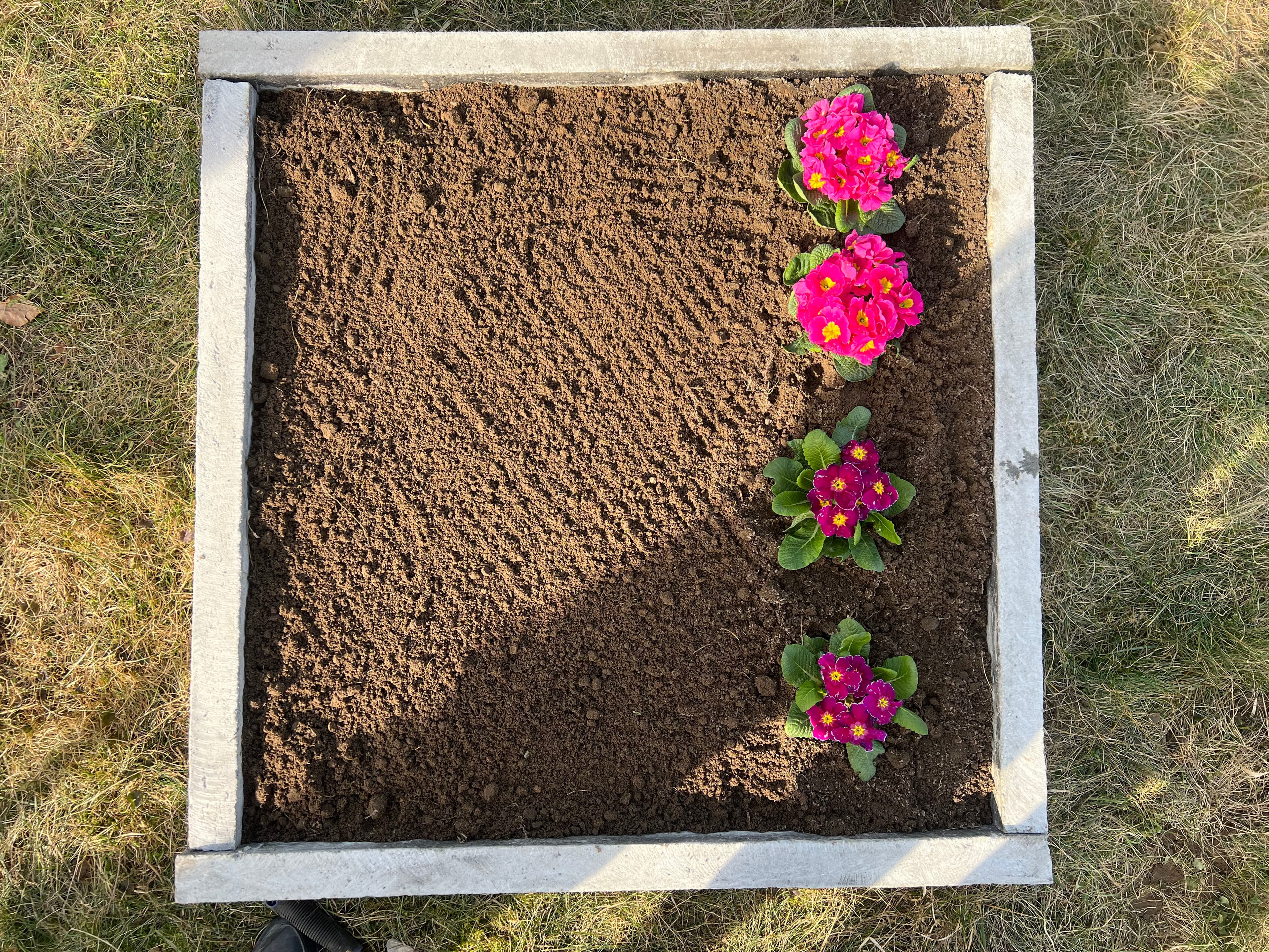 Warzywnik ogrodowy 10