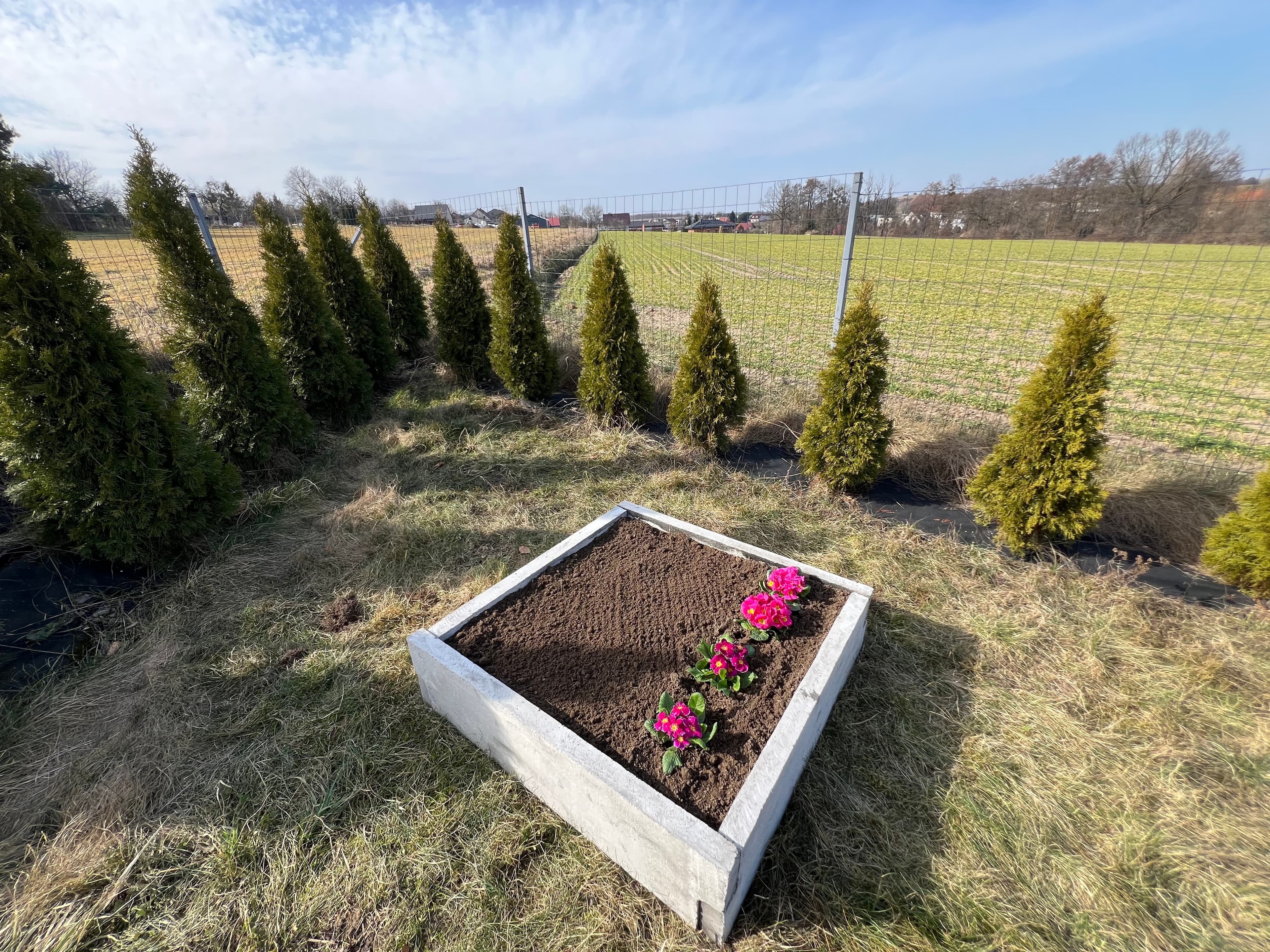 Warzywnik ogrodowy 13