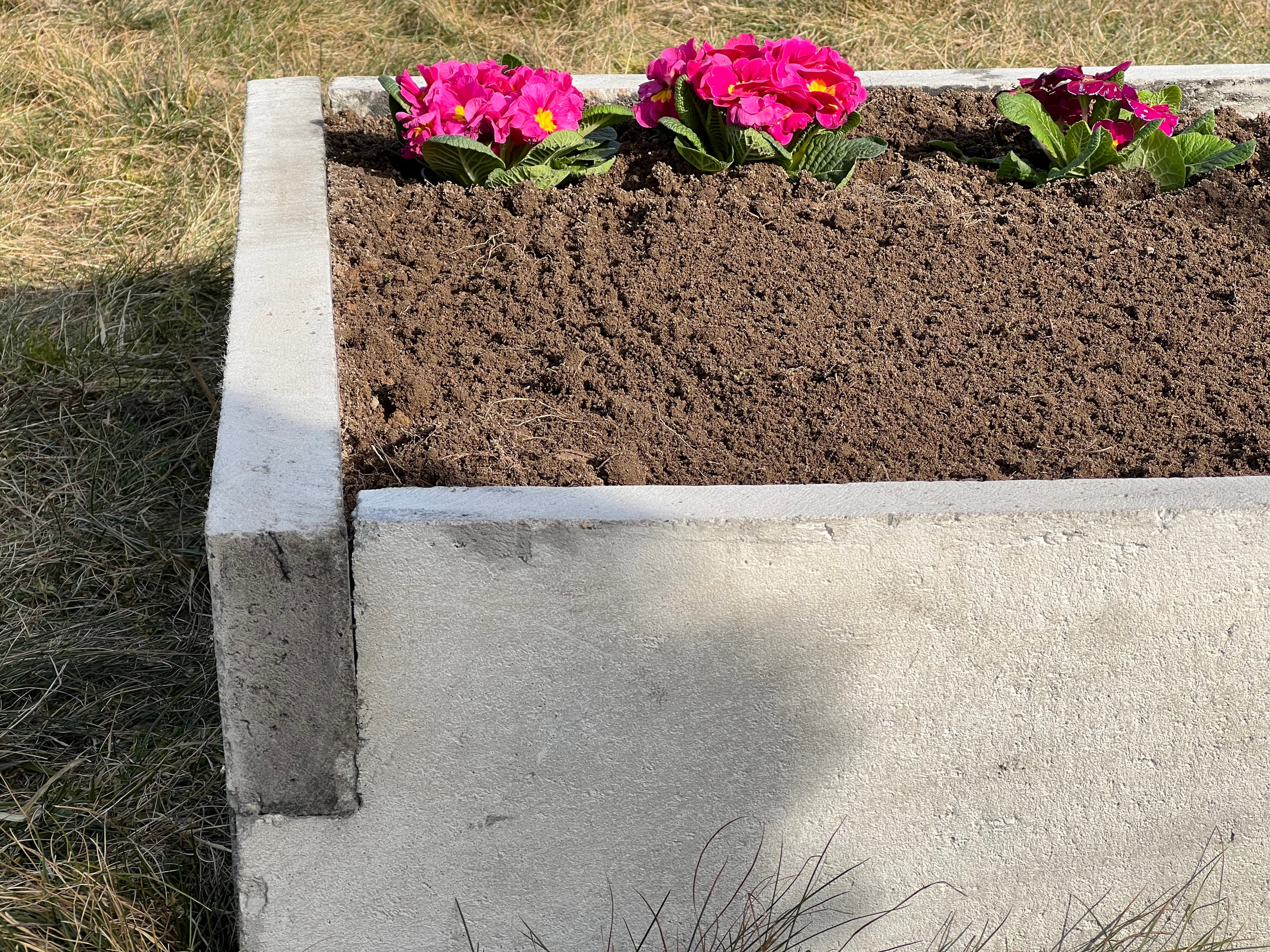 Warzywnik ogrodowy 17