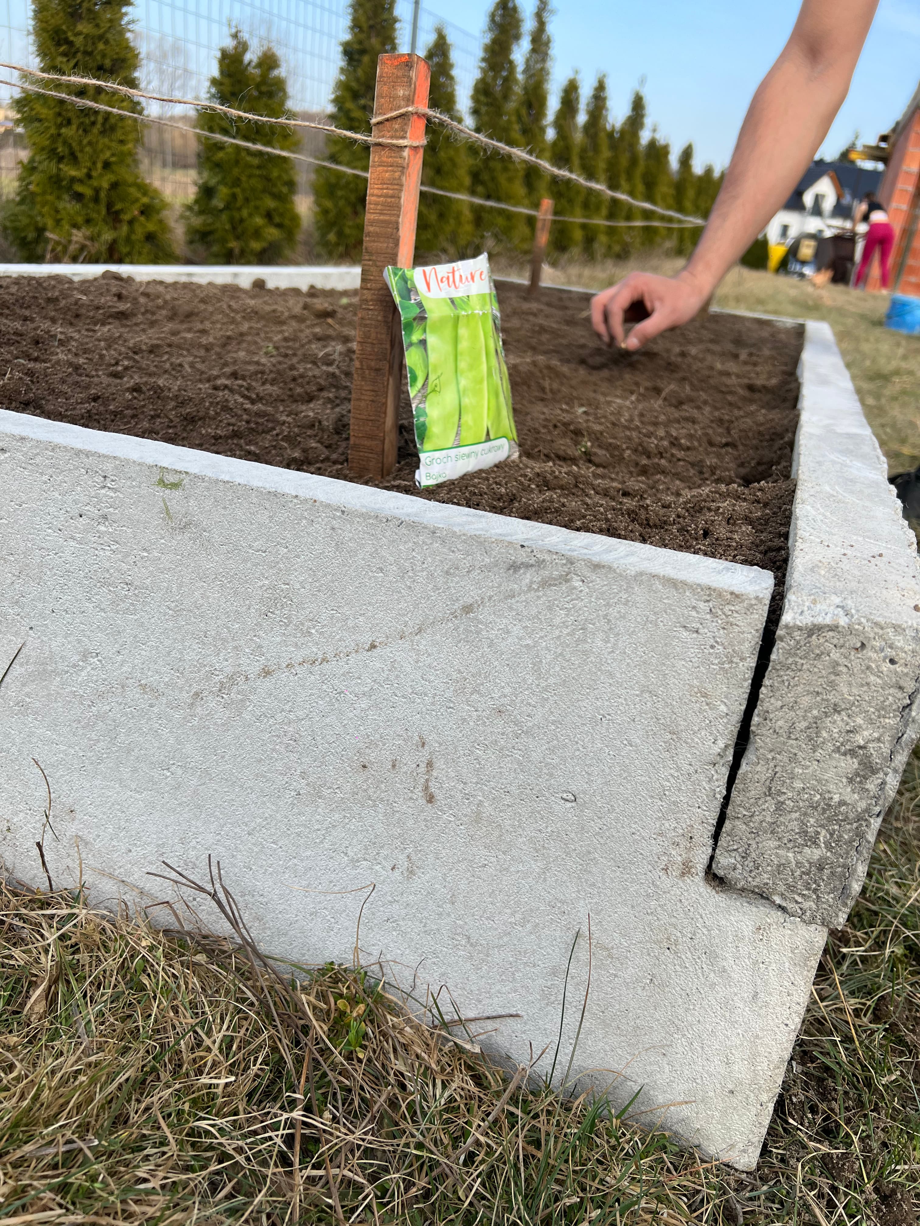 Warzywnik ogrodowy 18