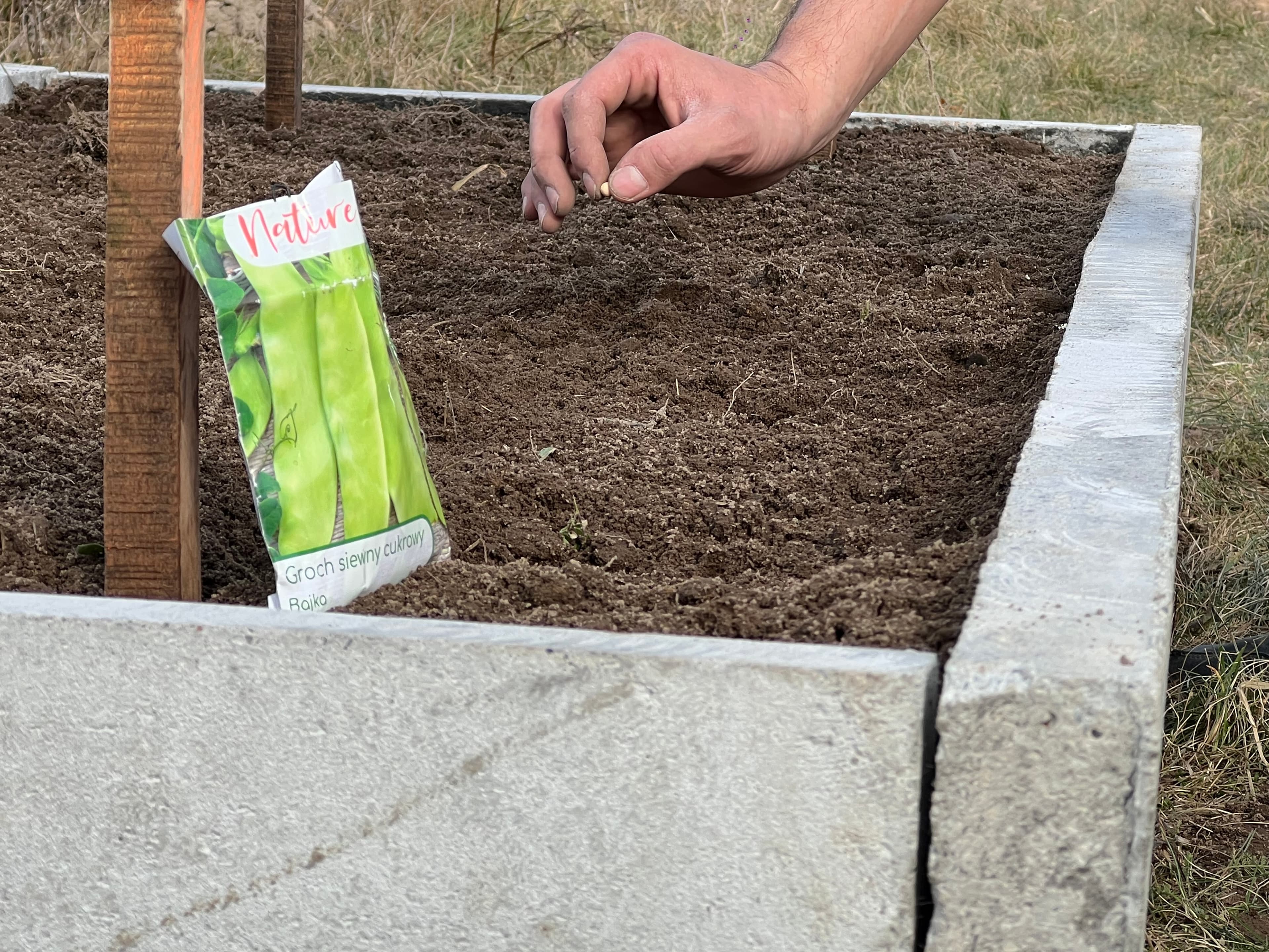 Warzywnik ogrodowy 20