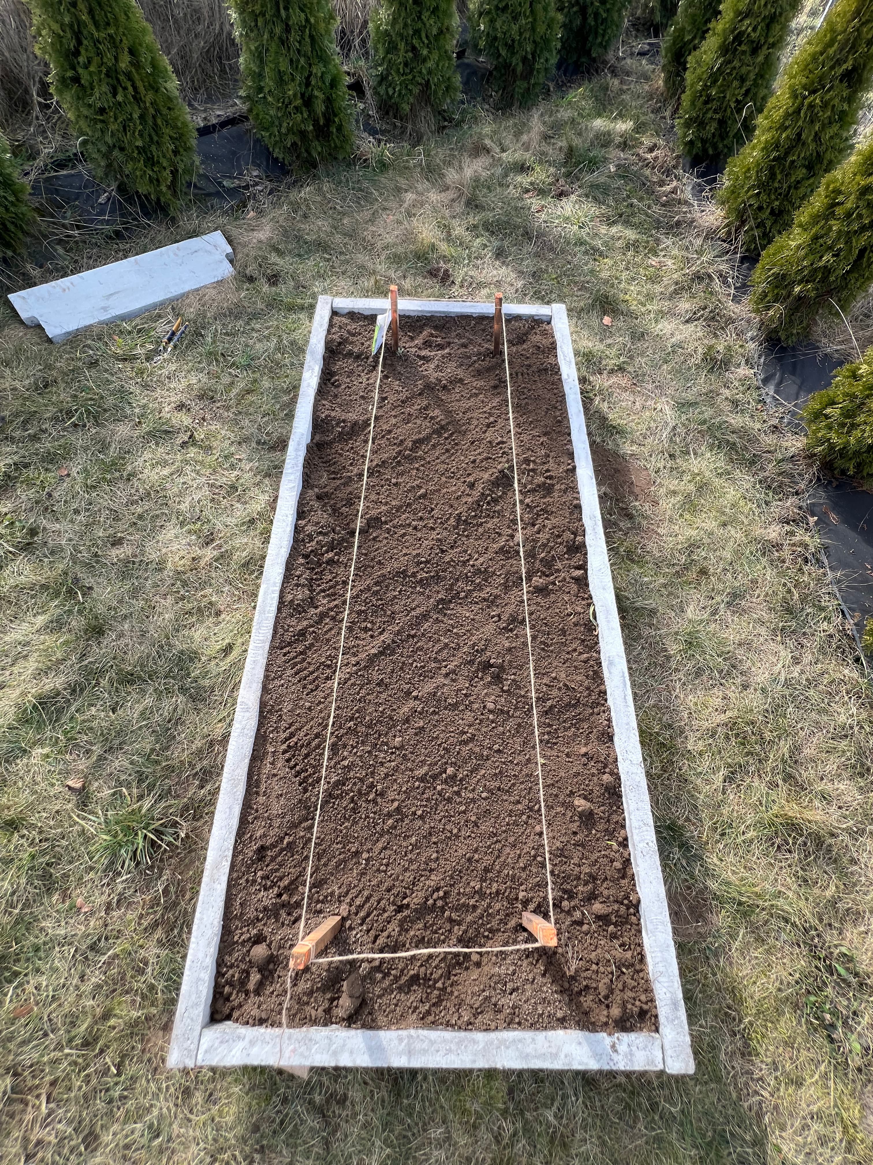 Warzywnik ogrodowy 29