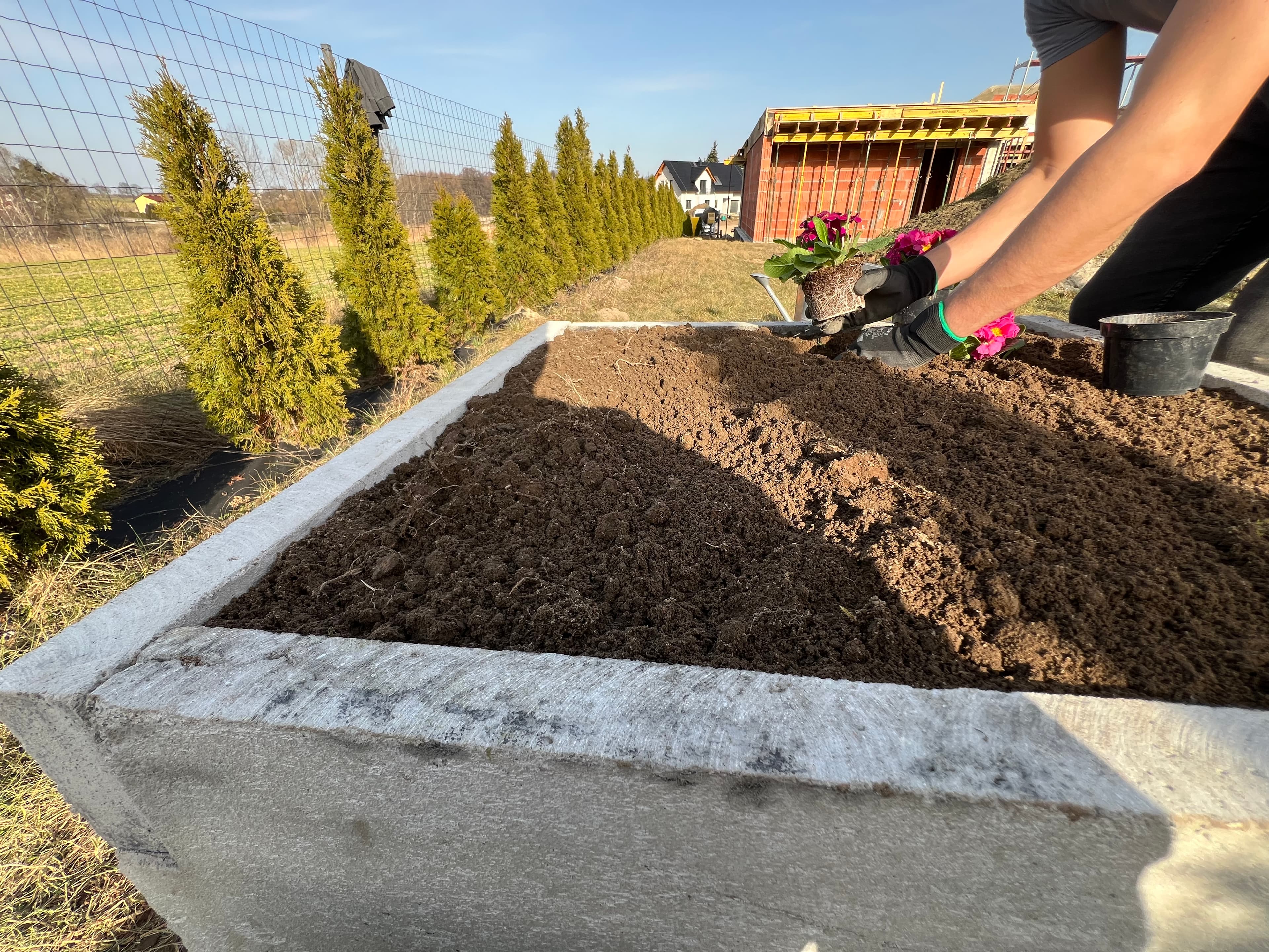 Grządki podwyższone