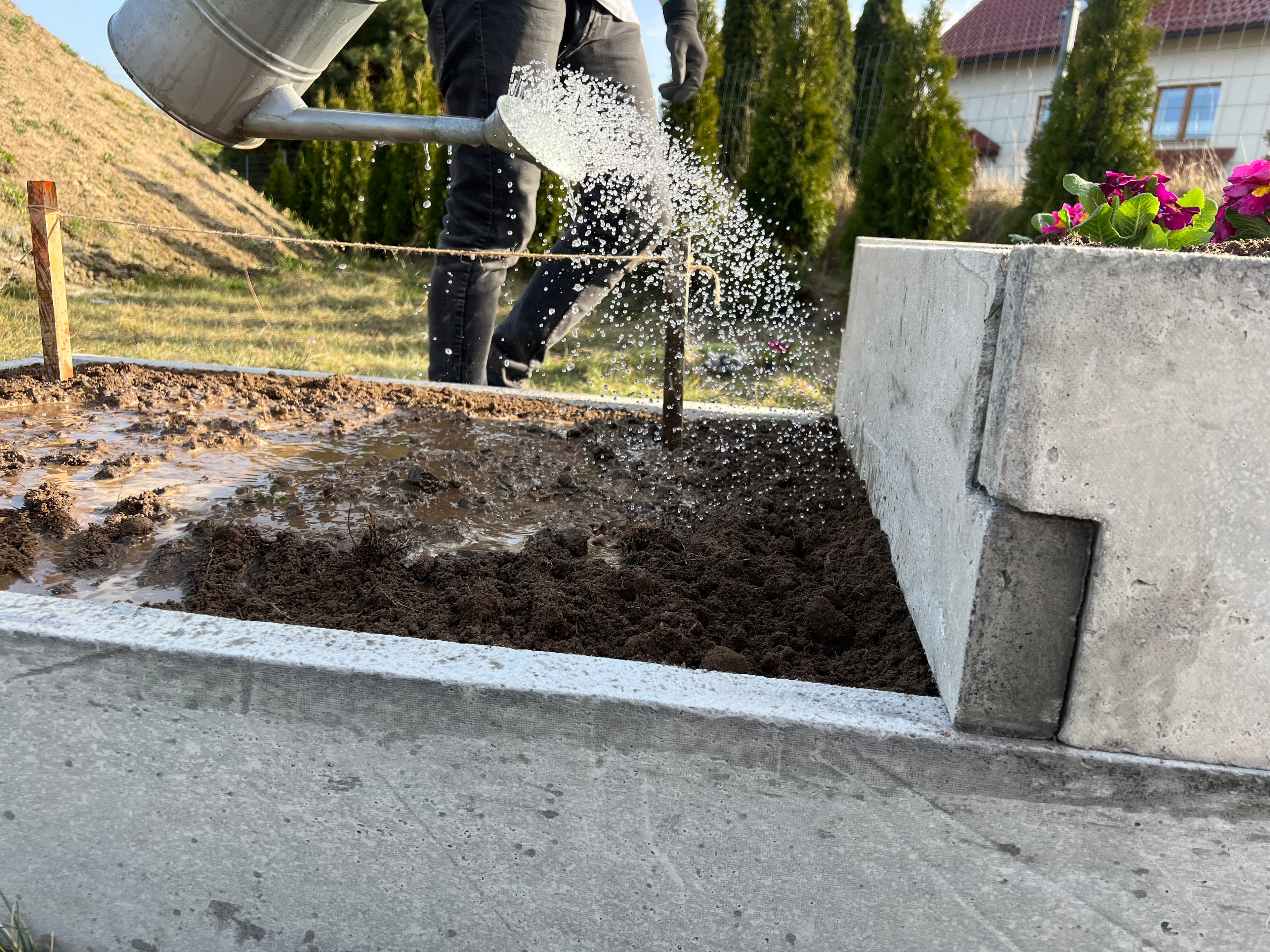 Warzywnik ogrodowy 46