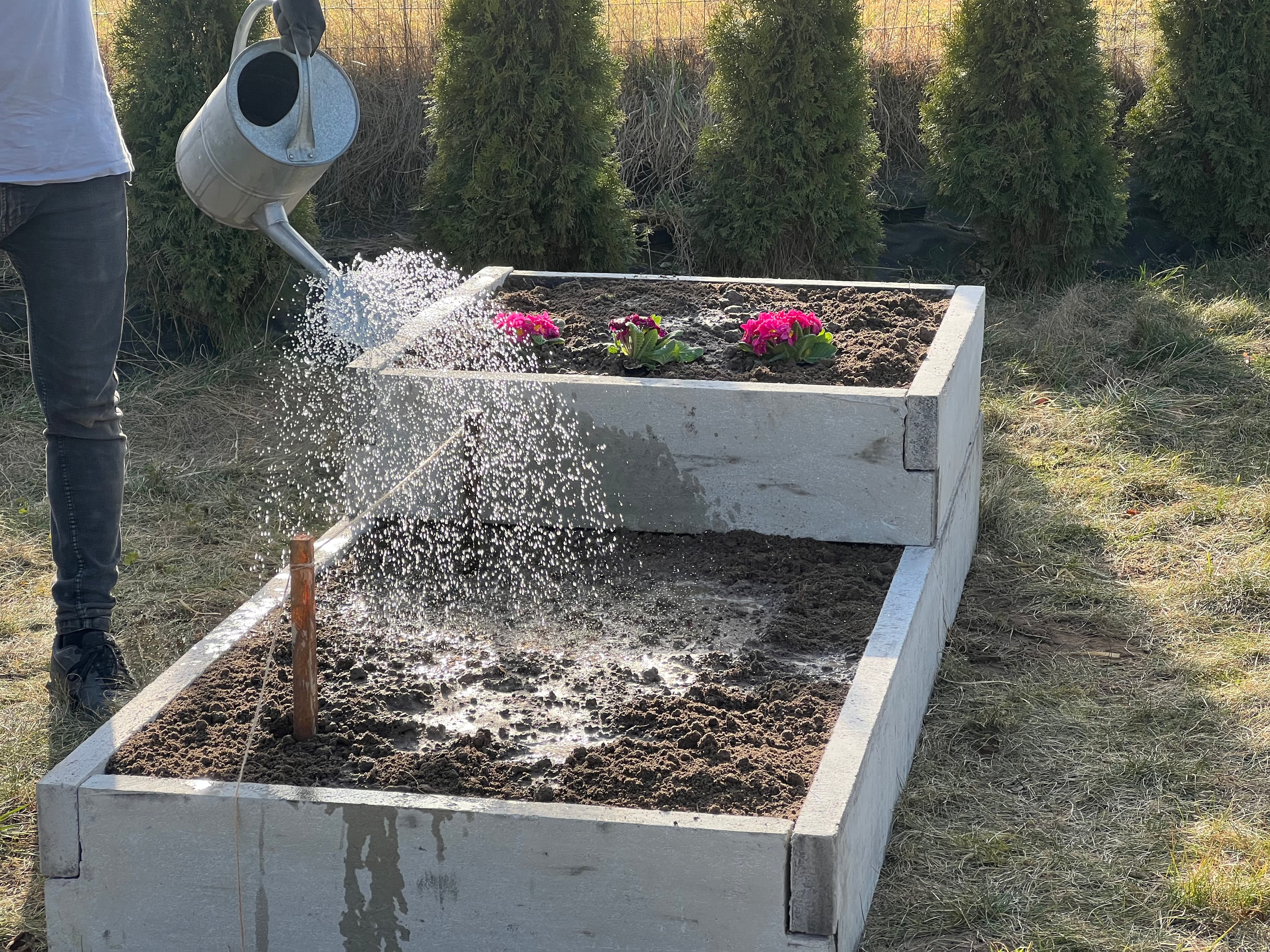 Warzywnik ogrodowy 49